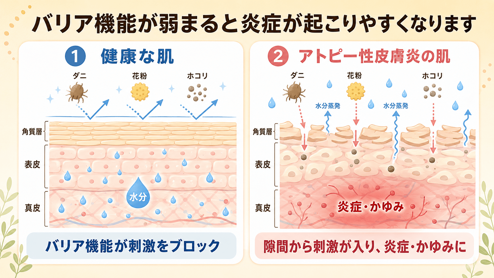 健康な肌とアトピー性皮膚炎の肌の比較